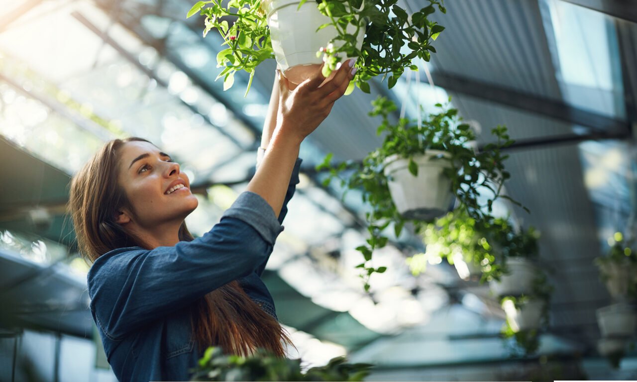 Cómo la Naturaleza Puede Inspirar el Éxito Empresarial